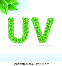 Sans serif font with green leaf decoration on white background. U and V letters
