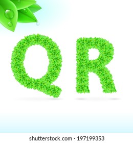 Sans serif font with green leaf decoration on white background. Q and R letters
