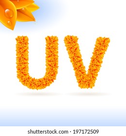 Sans serif font with orange leaf decoration on white background. U and V letters