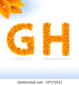 Sans serif font with orange leaf decoration on white background. G and H letters