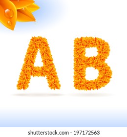 Sans serif font with orange leaf decoration on white background. A and B letters