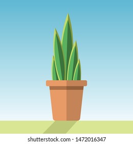 Sanseviera in pot plant vector icon 