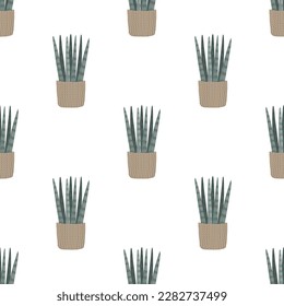 Sansevieria cylindrica in woven basket pot seamless pattern. Cylindrical snake plant, Spear Sansevieria texture, vector illustration.