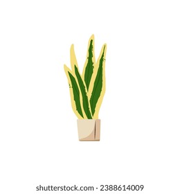 Sansevieria, dracaena trifasciata in pot. Snake plant growing in flowerpot. Floral home decor, interior decoration. Exotic houseplant. Flower flat isolated vector illustration on white background