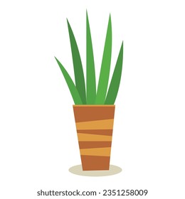 Sansevieria, maceta de flores. Vector, ilustración, plano