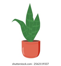 Sansevieria, green snake plant in pot. Tall devil s tongue with long upright leaf in planter. Home and office indoor succulent, houseplant. Flat vector illustration isolated on white background