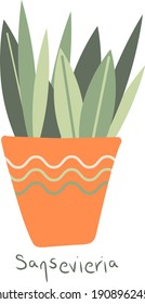 Sansevieria. House plant in a clay pot. Home gardening. Hand drawn vector illustration in simple hygge style. Perfect for poster, sticker, print, card