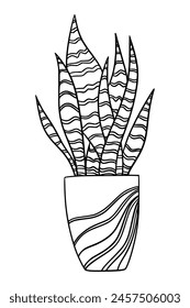 Sansevieria Houseplant in pot coloring page, succulent outline drawing. snake plant for home and interior. Potted houseplant line art hand drawing design element 