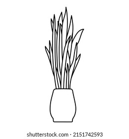 Sansevieria houseplant sketch. Indoor Snake plant vector illustration. Mother-in-law’s tongue or Dracaena trifasciata doodle black and white outline drawing