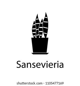 sansevieria illustration. Element of plant icon for mobile concept and web apps. Detailed sansevieria illustration can be used for web and mobile on white background