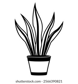 sansevieria indoor plant pot beautiful line art vector on white background