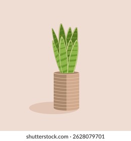 sansevieria  indoor plant potted flowers isolated on beige background design element vector illustration