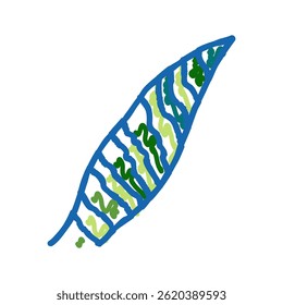sansevieria leaf tropical doodle icon sketch vector. sansevieria leaf tropical sign. isolated symbol illustration