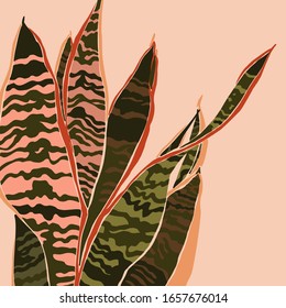 Sansevieria plant in a minimalist trendy style. Silhouette of a plant in a contemporary simple abstract style. Vector illustration collage. For t-Shirt Print, card, poster, social media post