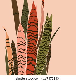 Sansevieria plant in a minimalist trendy style. Silhouette of a plant in a contemporary simple abstract style. Vector illustration collage. For t-Shirt Print, card, poster, social media post