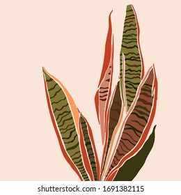 Sansevieria plant in a minimalist trendy style. Silhouette of a plant in a contemporary simple abstract style. Vector illustration collage. For t-Shirt Print, card, poster, social media post