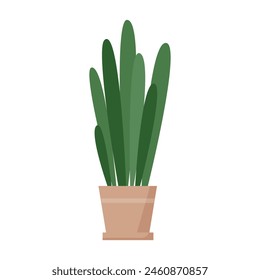 Planta de Sansevieria en maceta, planta de interior natural en maceta con Ilustración vectorial de hojas grandes