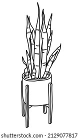 Planta de Sansevieria en una olla. Planta de serpientes. Dibujo de doodle vectorial suculento. Línea de arte dibujada a mano.