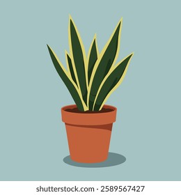 Sansevieria plant in pot Vector Illustration