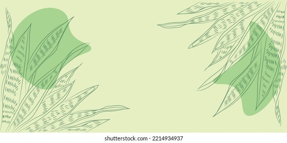 Sansevieria plants on light green background with space for text