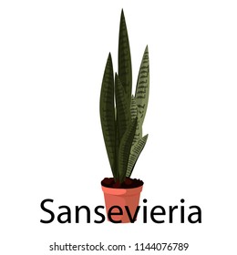 Sansevieria   pot for flowers, with earth, pink, for seedlings, pots vector