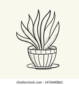 Sansevieria in pot. Hand drawn vector illustration