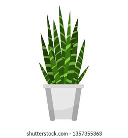 Sansevieria in a pot, houseplant. Isolated vector illustration