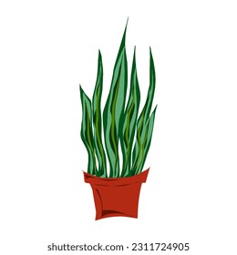 Sansevieria in a pot, flаt style illustration. Element for design