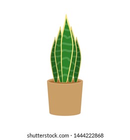 Sansevieria potted flat icon, indoor plant, flower vector illustration isolated on white background