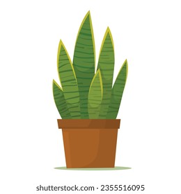 Sansevieria snake plant in pot flat vector illustration logo icon clipart isolated on white background