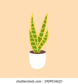 Sansevieria trifasciata futura snake plant vector illustration. Modern plant concept. Indoor. Design for infographic poster and plant shop banner. Flat style