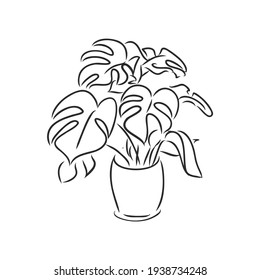 Sansevieria trifasciata hand drawn vector outline doodle icon. Decorative potted house plant sketch illustration for print, web, mobile and infographics isolated on white background.