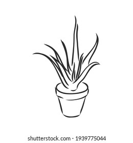 Sansevieria trifasciata hand drawn vector outline doodle icon. Decorative potted house plant sketch illustration for print, web, mobile and infographics isolated on white background.