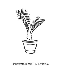 Sansevieria trifasciata hand drawn vector outline doodle icon. Decorative potted house plant sketch illustration for print, web, mobile and infographics isolated on white background.