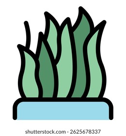 Sansevieria trifasciata, also known as snake plant, adds a touch of modern elegance to interior decor with its striking upright leaves