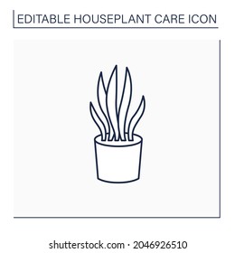 Sansevieria trifasciata line icon. Home gardening. Tropical plant for interior decor. Beautiful home plant in pot. Houseplant care concept.Isolated vector illustration.Editable stroke