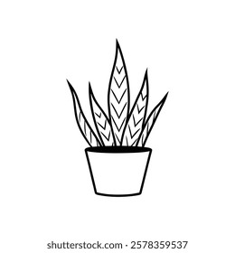 sansevieria in tub of a line art vector