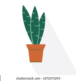 sansevieria vector illustration, cactus, pot plants, plants vector