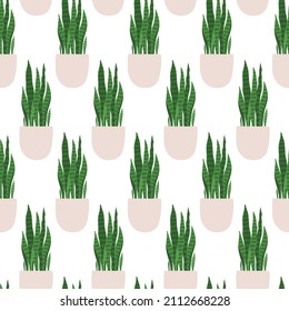 Sansevieria. Vector seamless pattern of a houseplant in a pot on a white background.