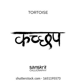 Sanskrit Calligraphy font translation: turtle, tortoise, tortoiseshell, testudo, testudinate, turtle-shell. Indian grunge vector illustration