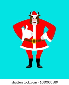Santa bull thumbs up well and winks. Sign all right. Merry Christmas cow. Hand showing ok. Gesture of hand. Good farm animal in red suit. Illustration for new year