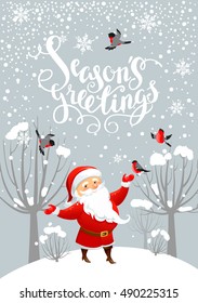 Santa and bullfinches