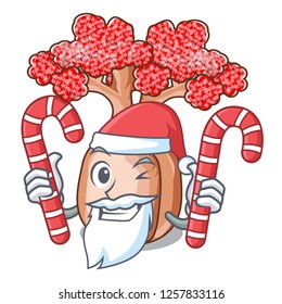 Santa with candy bottle shaped tree on a cartoon