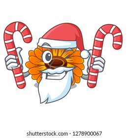 Santa with candy calendul flower tree is character shape
