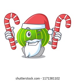 Santa with candy cartoon plants notocactus in the desert garden