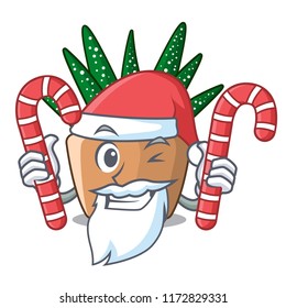 Santa with candy cartoon zebra cactus plant at park