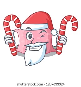 Santa with candy cute pillow comfortable isolated on mascot