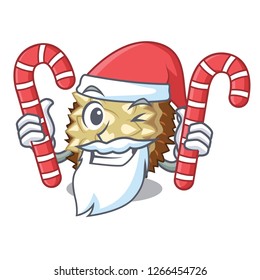 Santa with candy fruit marang is located in mascot
