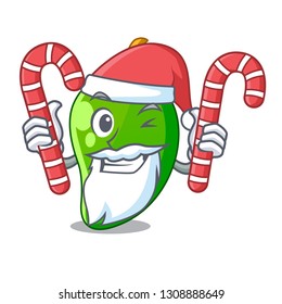 Santa with candy green mango isolated with the mascot