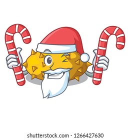 Santa with candy Kiwano fruit isolated on a character